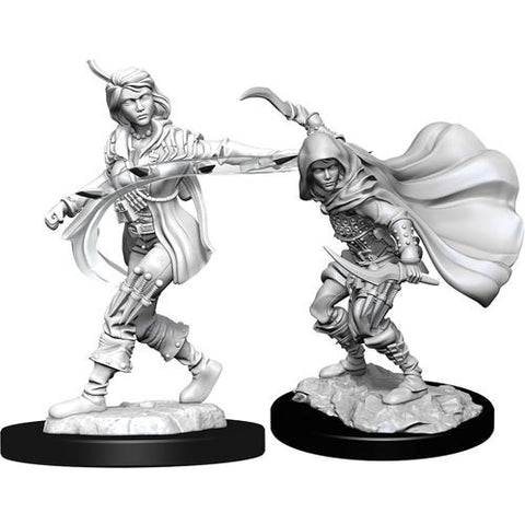WZK 90269 Female Human Rogue