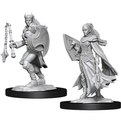 WZK 90233 D&D Nolzur's Marvelous Unpainted Minis: W14 Female Kalashtar Cleric