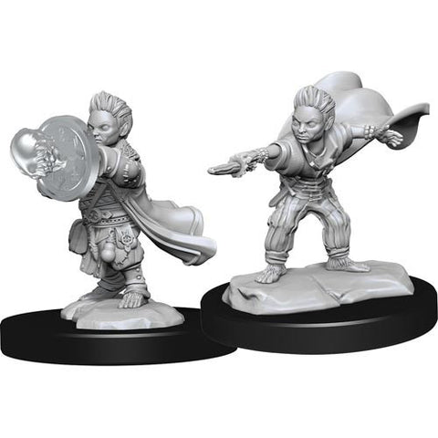 WZK 90260 Male Halfling Wizard