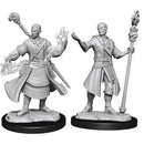 WZK 90229 Nolzur's: W14 Male Half-Elf Wizard