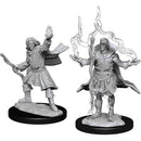 WZK 90262 Male Elf Sorcerer