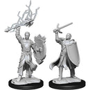 WZK 90230 Nolzur's: W14 Male Half-Elf Paladin