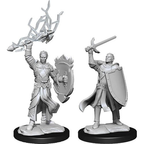 WZK 90230 Nolzur's: W14 Male Half-Elf Paladin