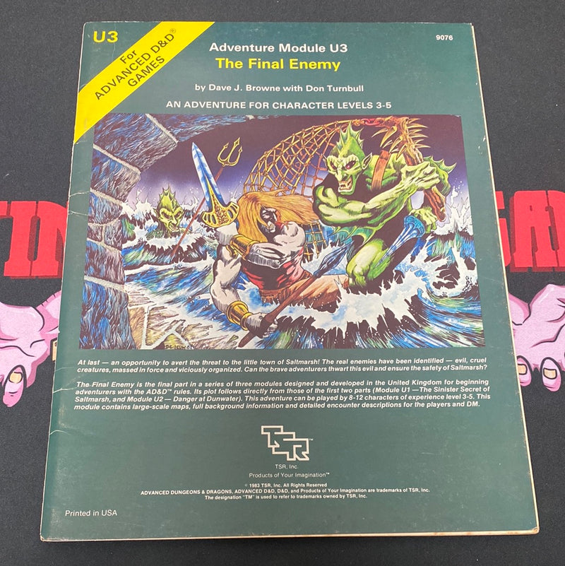 Advanced Dungeons & Dragons: The Final Enemy U3