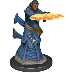 WZK 93034 Human Wizard Premium Figure