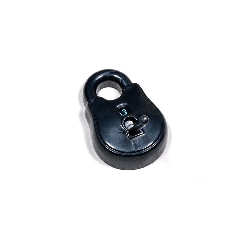 PHD2222 The Rogue D20 Lock & Pick