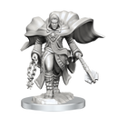 WZK 90408 Aasimar Cleric Male