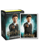 Dragon Shield: (100) Matte Art - Harry Potter Wizarding World - Harry Potter