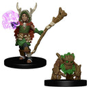 WZK 73319 Wardlings: Boy Druid And Tree Creature