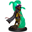 WZK 73818 Female Tiefling Sorcerer