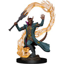 WZK 73819 Male Tiefling Sorcerer