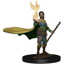 WZK 73821 Premium Miniatures: Female Elf Druid