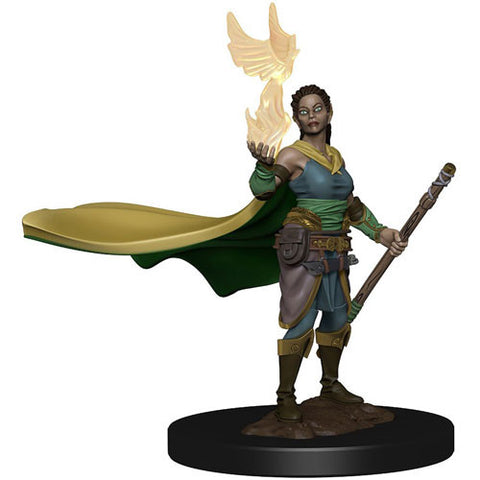 WZK 73821 Premium Miniatures: Female Elf Druid