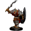 WZK 73822 Male Dragonborn Fighter