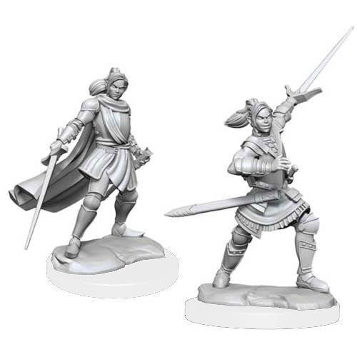 Critical Role Unpainted Miniatures: W1 Half-Elf Xhorhas Paladin