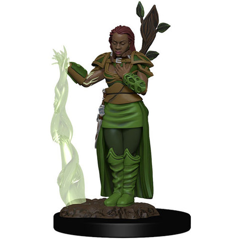 WZK 93009 Female Human Druid Premium Figure
