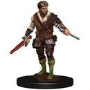 WZK 93022 Male Human Rogue Premium Figure
