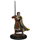 WZK 93023 Male Human Cleric Premium Figure