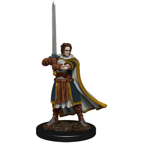 WZK 93023 Male Human Cleric Premium Figure