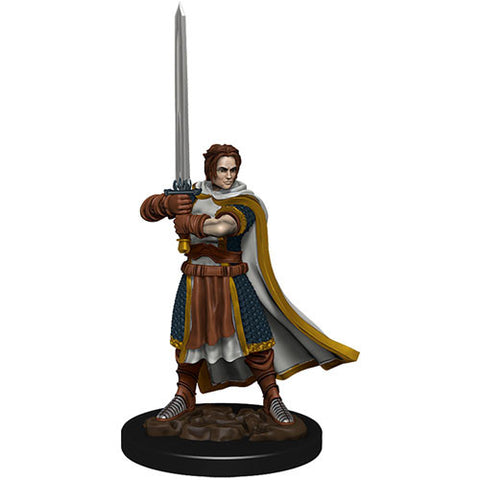 WZK 93023 Male Human Cleric Premium Figure