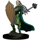 WZK 93025 Female Elf Paladin Premium Figure